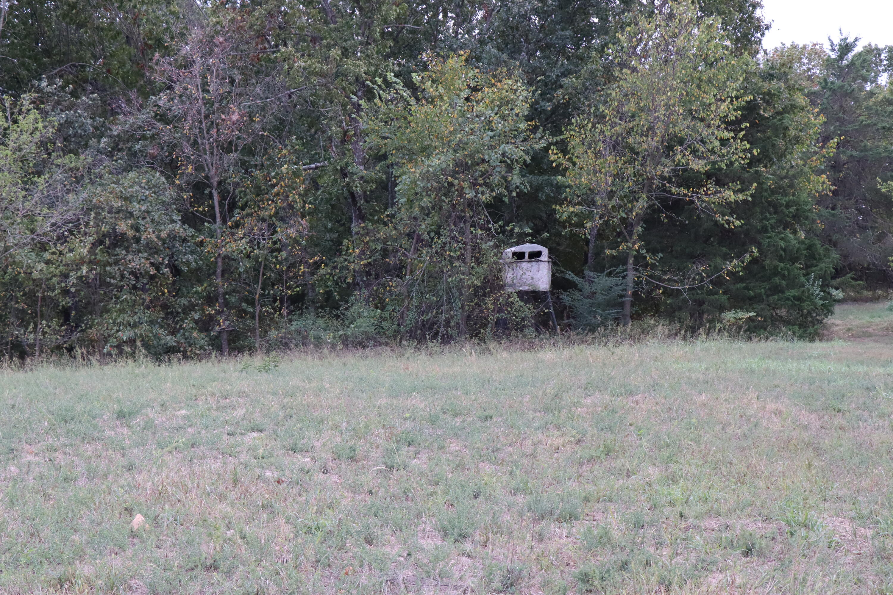 15734 Farm Road 2140 Property Photo 31