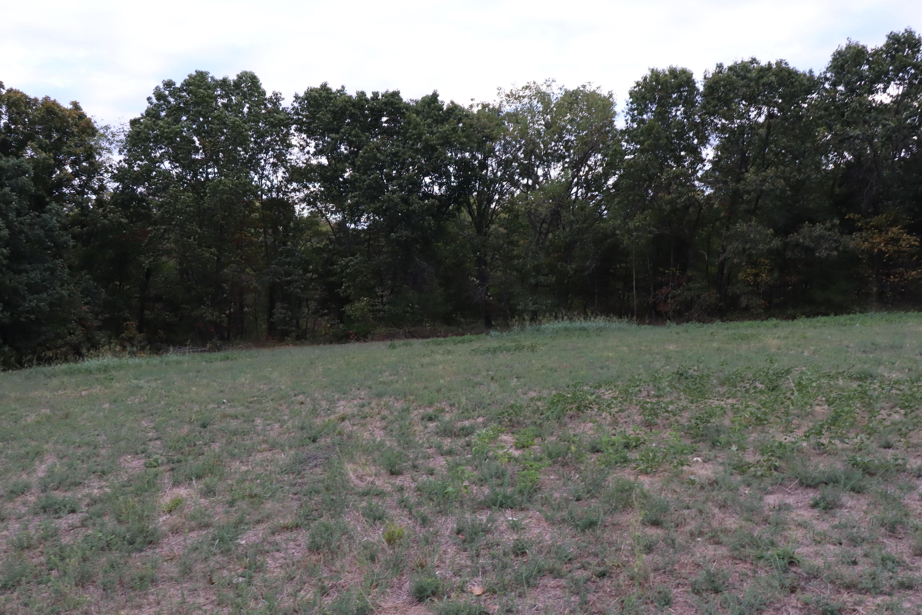 15734 Farm Road 2140 Property Photo 33