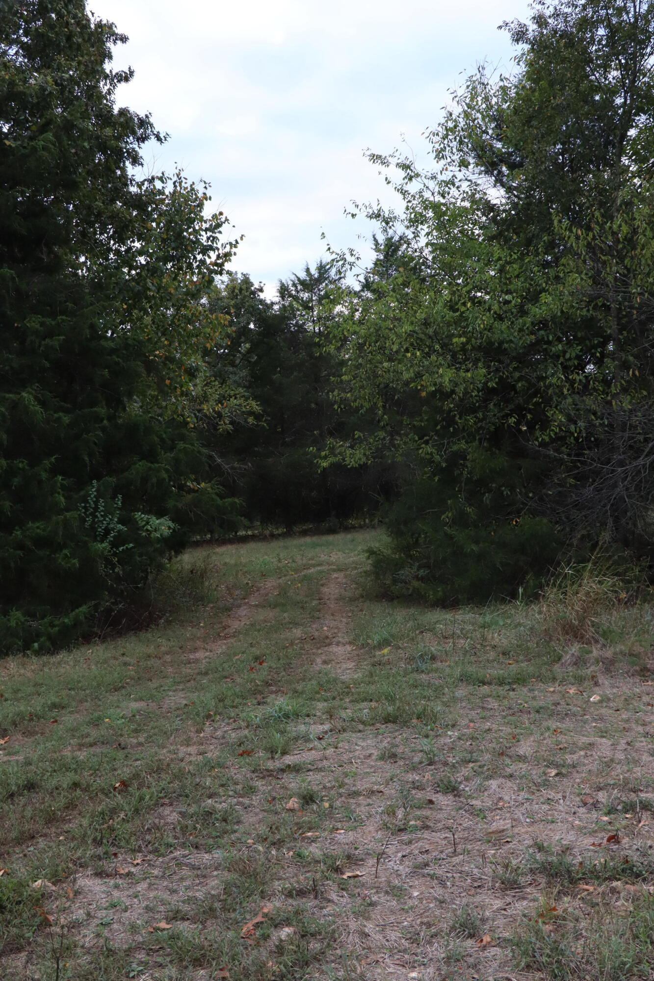 15734 Farm Road 2140 Property Photo 34