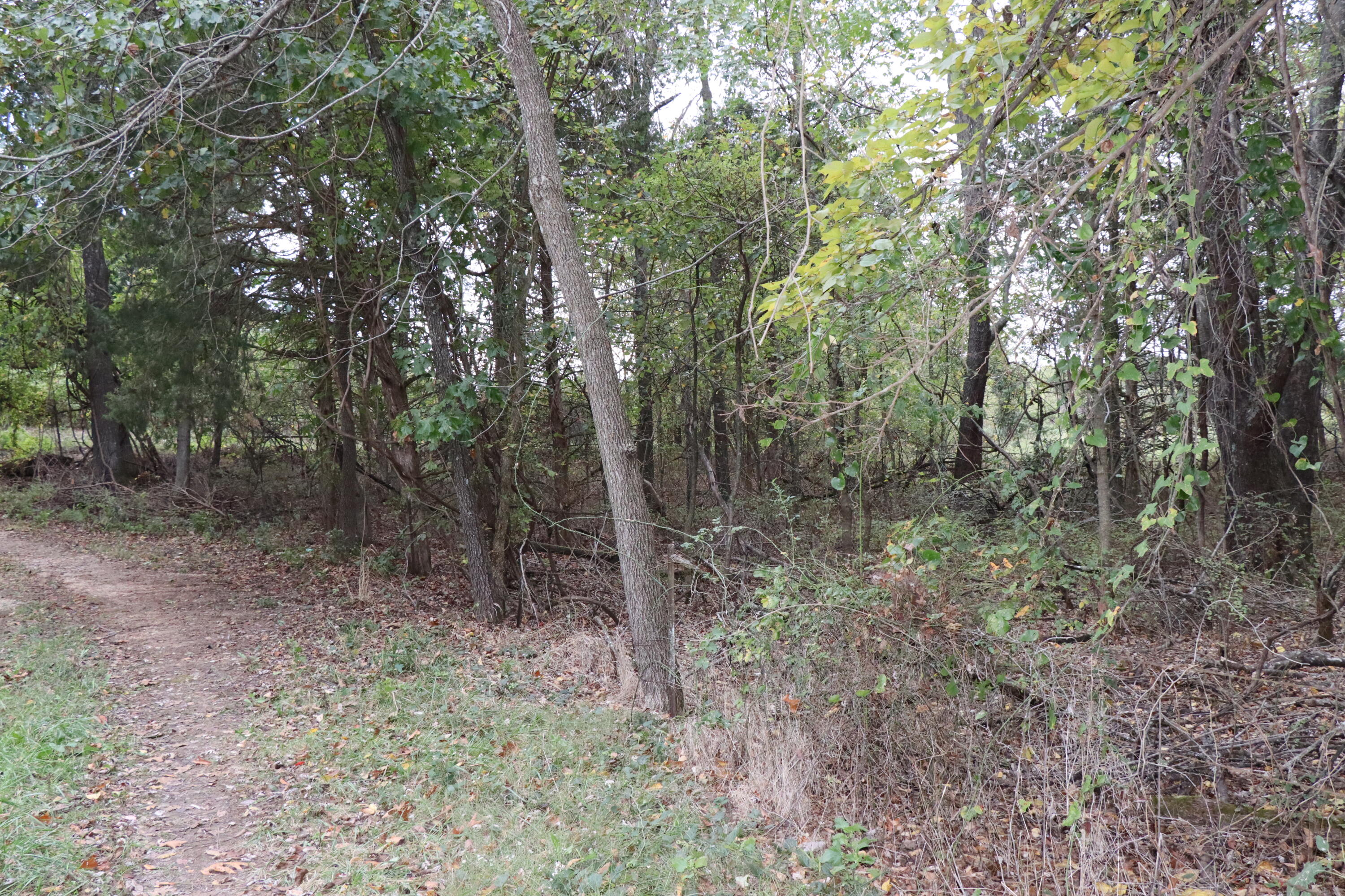 15734 Farm Road 2140 Property Photo 36