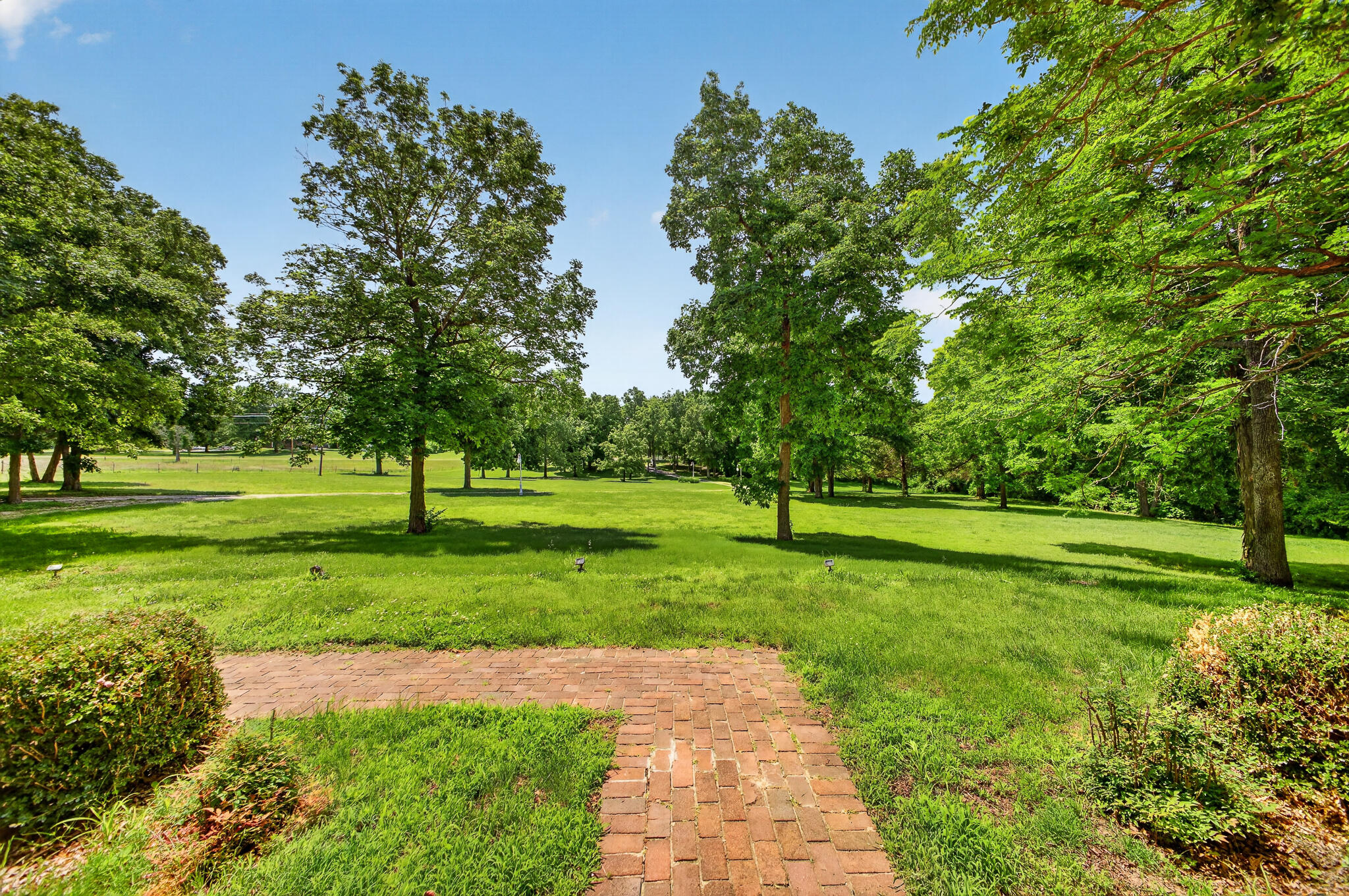 227 State Highway Y Property Photo 10