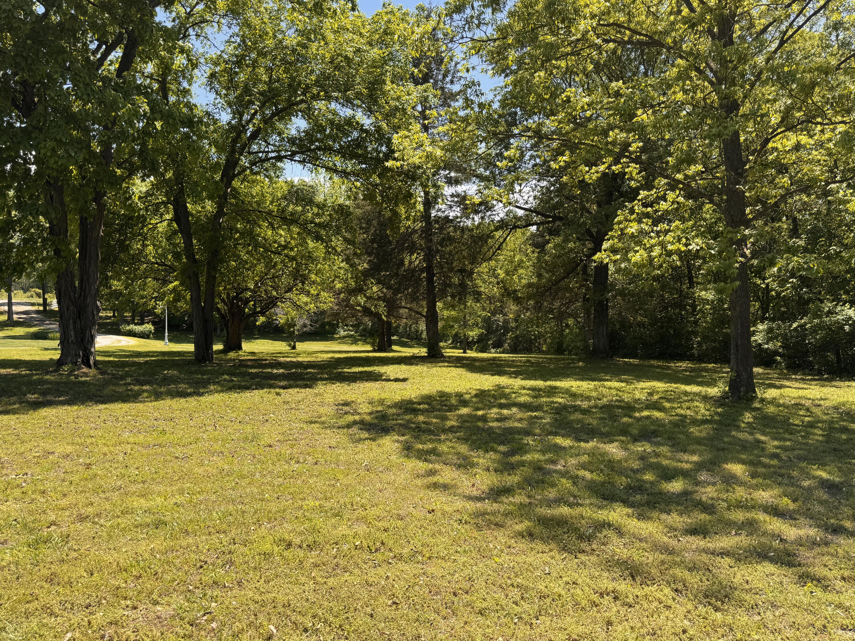 227 State Highway Y Property Photo 70