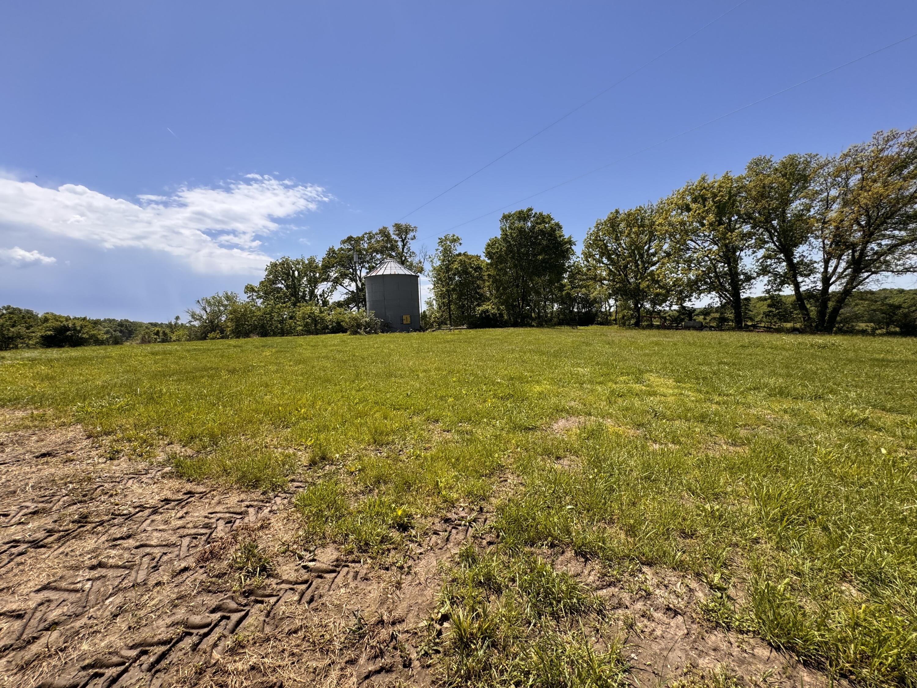 227 State Highway Y Property Photo 84