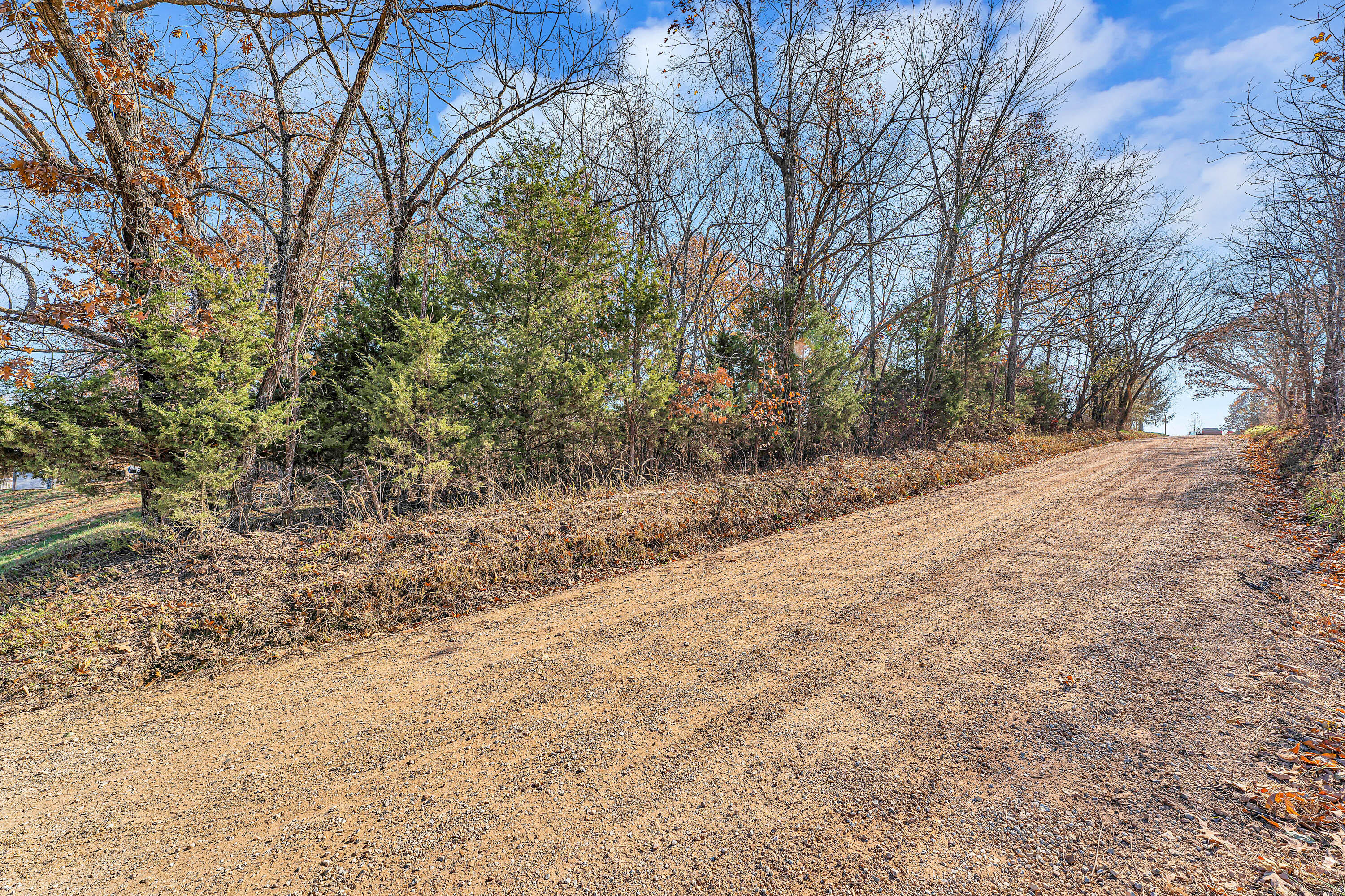 7800 St George Road Property Photo 14