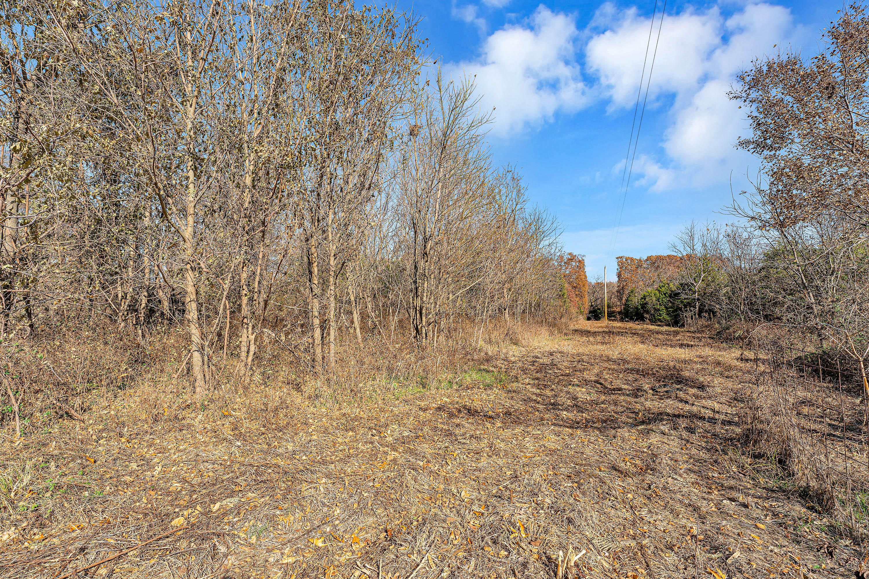 7800 St George Road Property Photo 16
