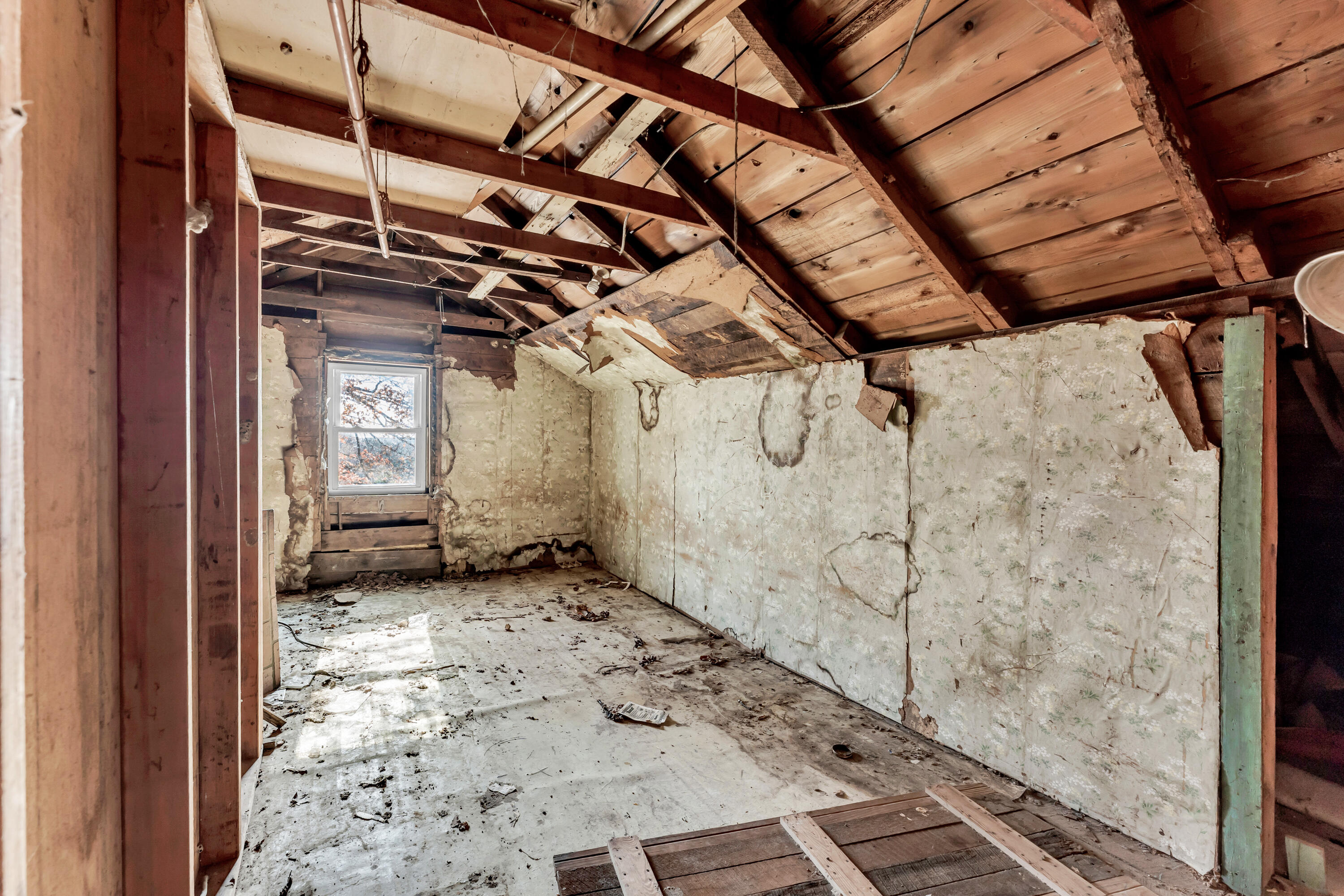7800 St George Road Property Photo 33