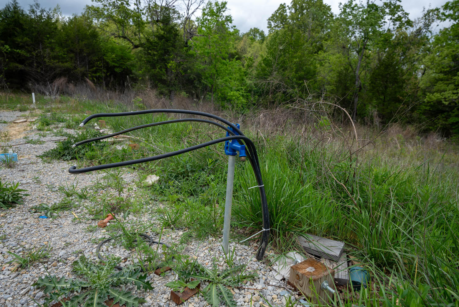 291 County Road 804 Property Photo 8