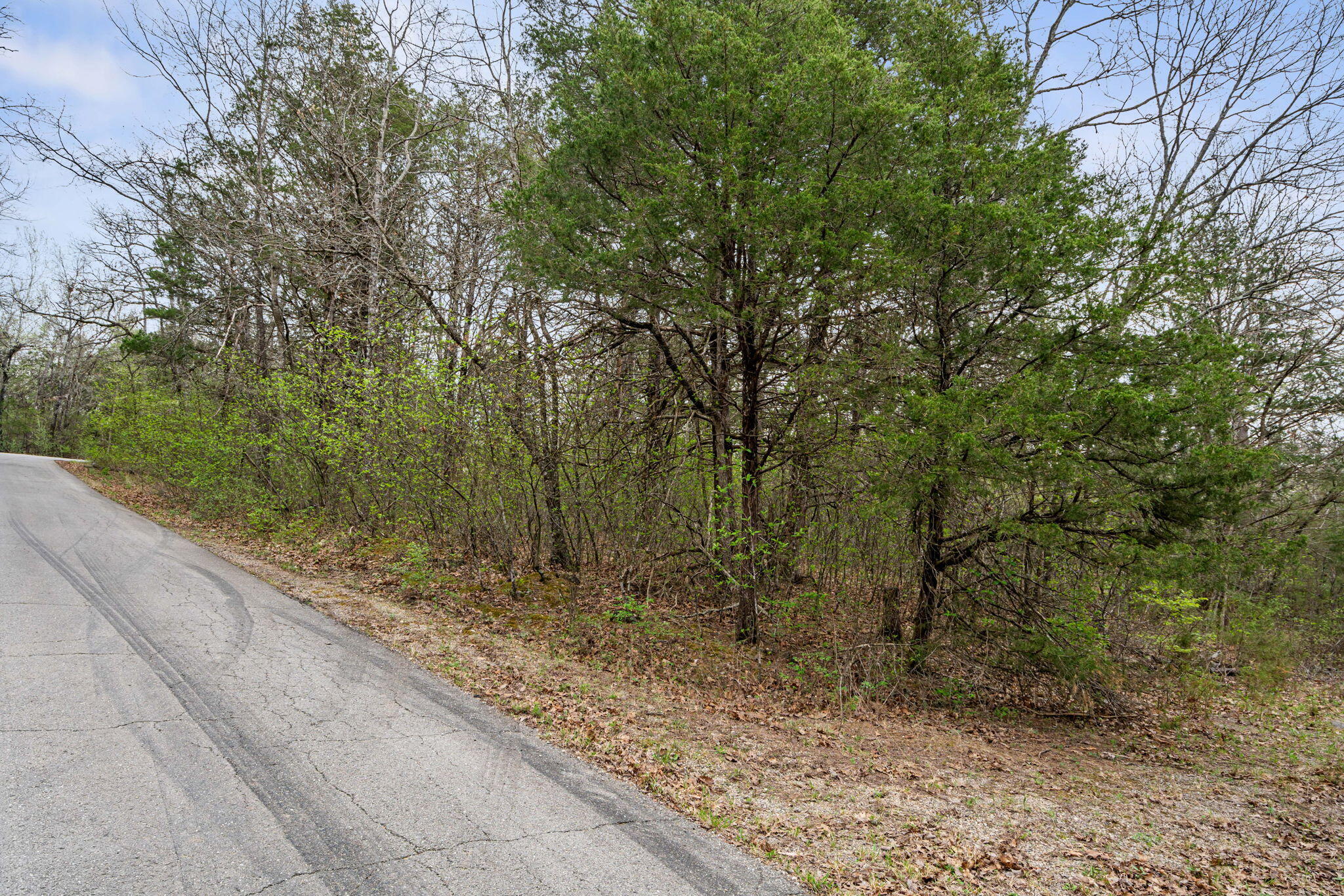 342 & 343 Turkey Mountain Estates Property Photo 3
