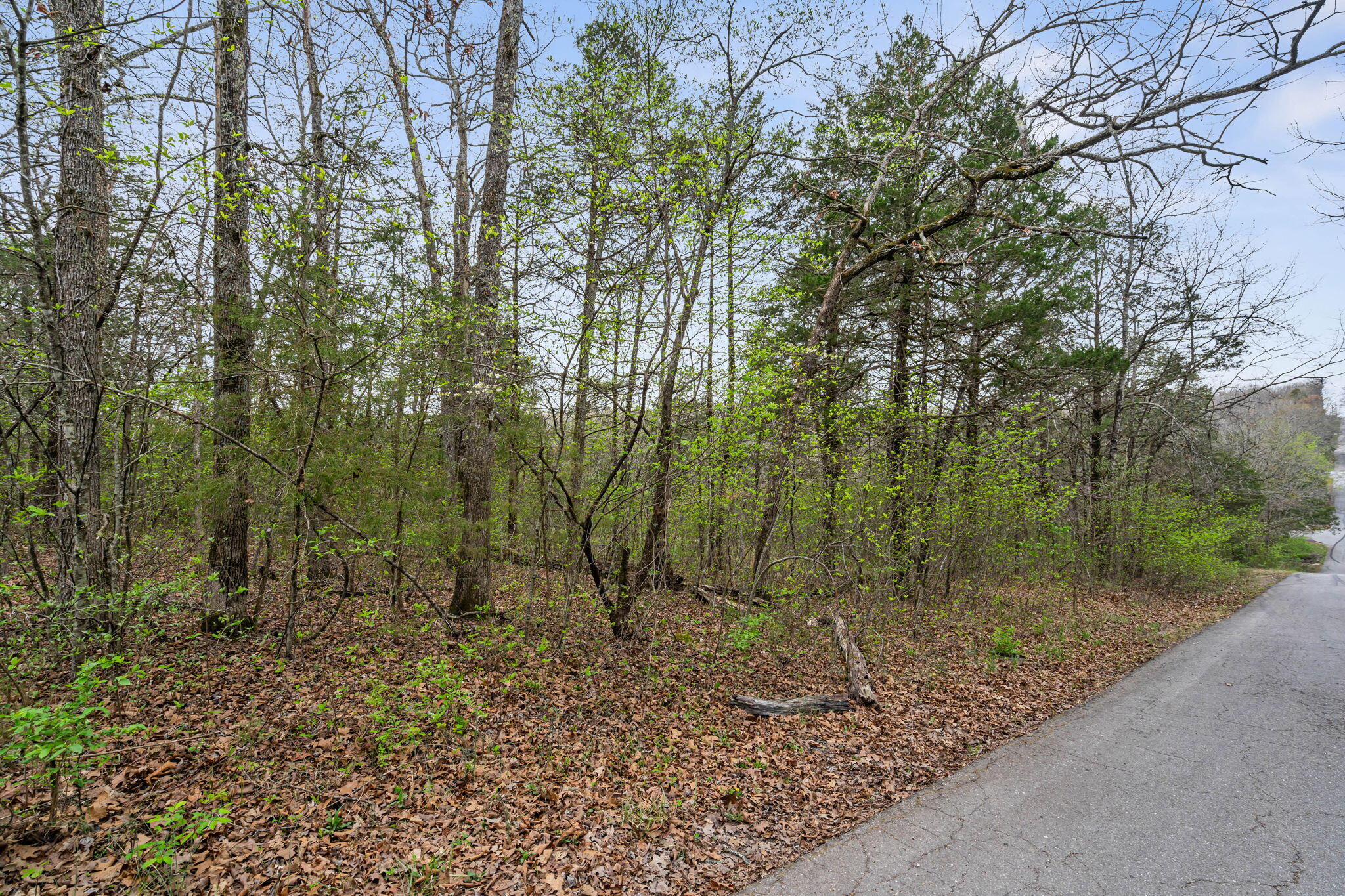 342 & 343 Turkey Mountain Estates Property Photo 4