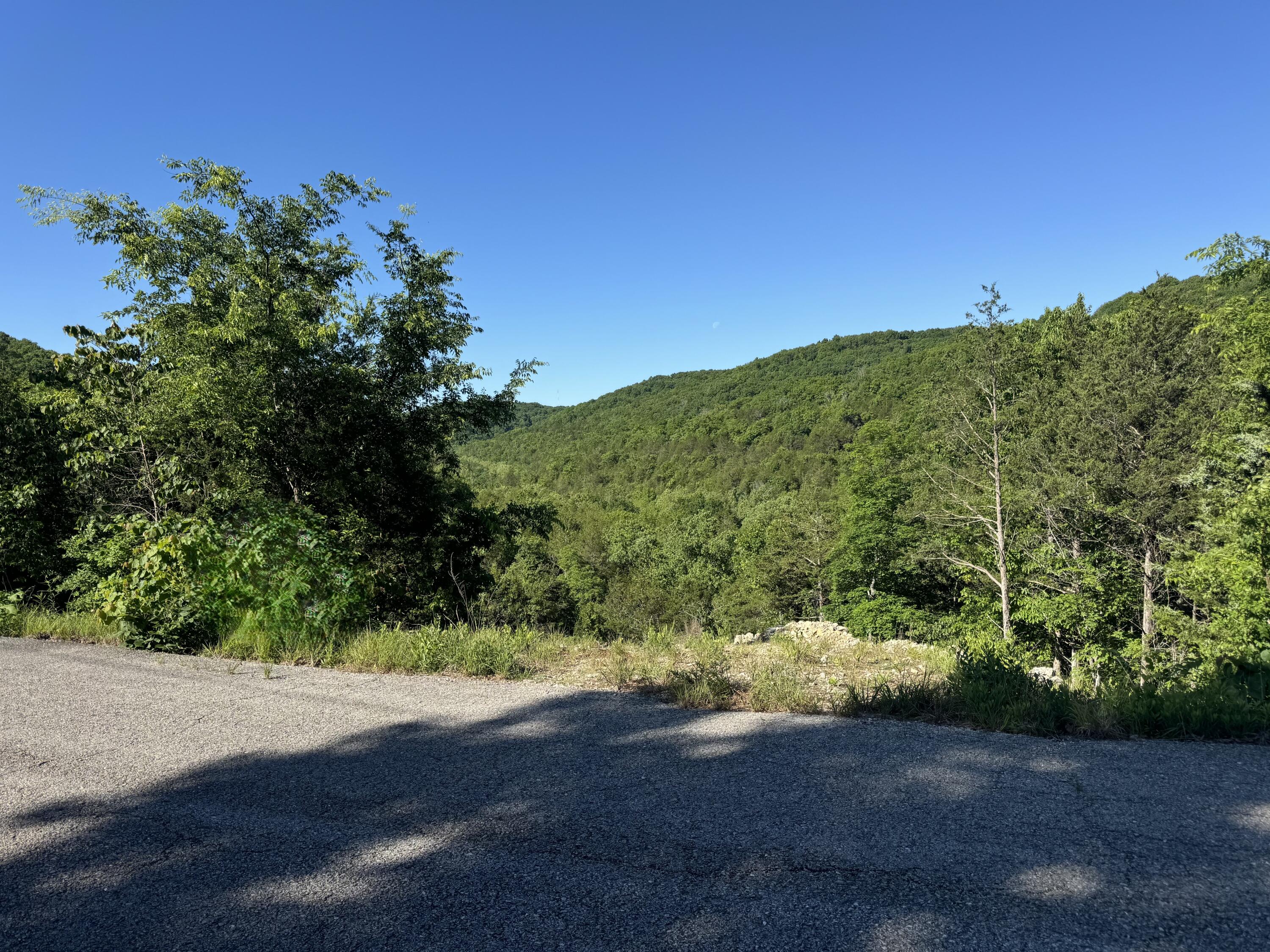 280 Timber Wolf Road Lot 10 Property Photo 2