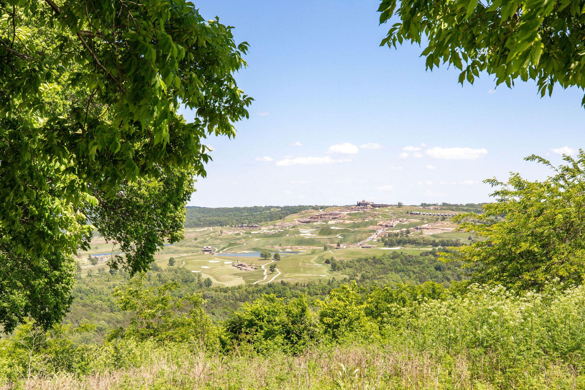 139 Wolf Trail Property Photo 30