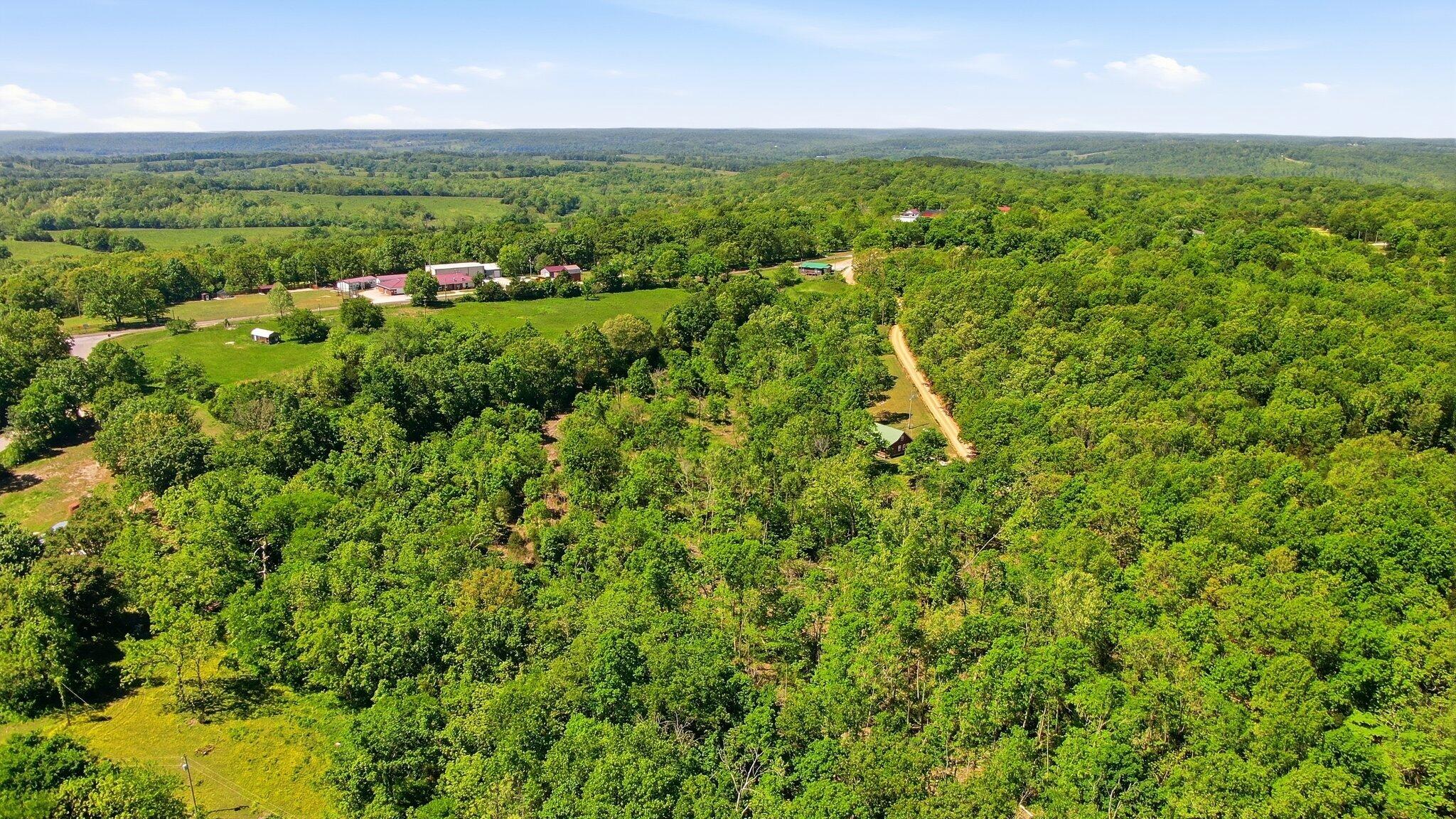 9004 Timber Drive Property Photo 31