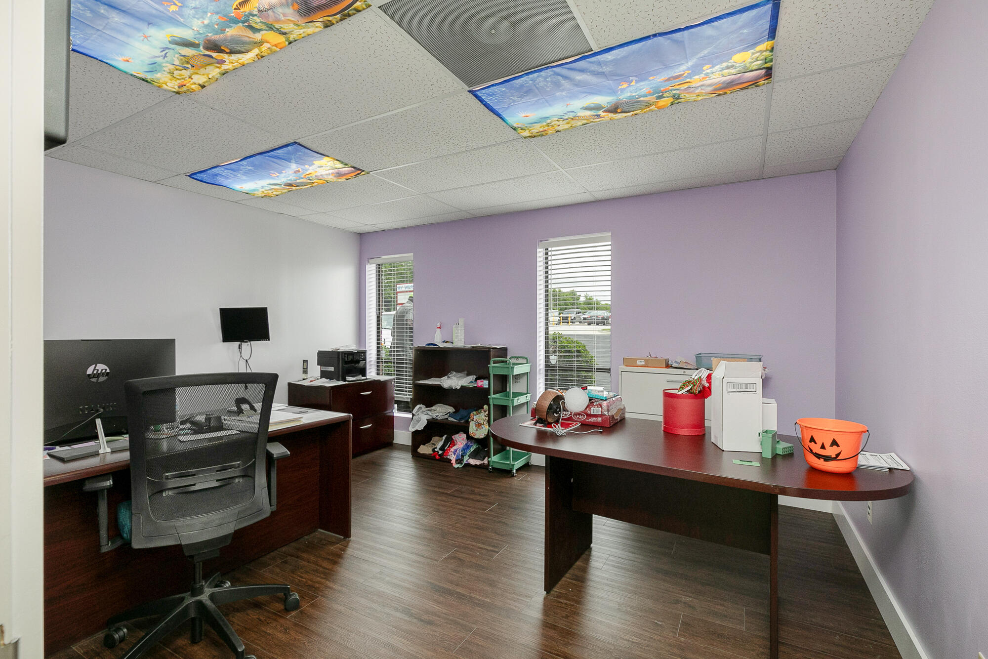 500 West Daniels Street Property Photo 63