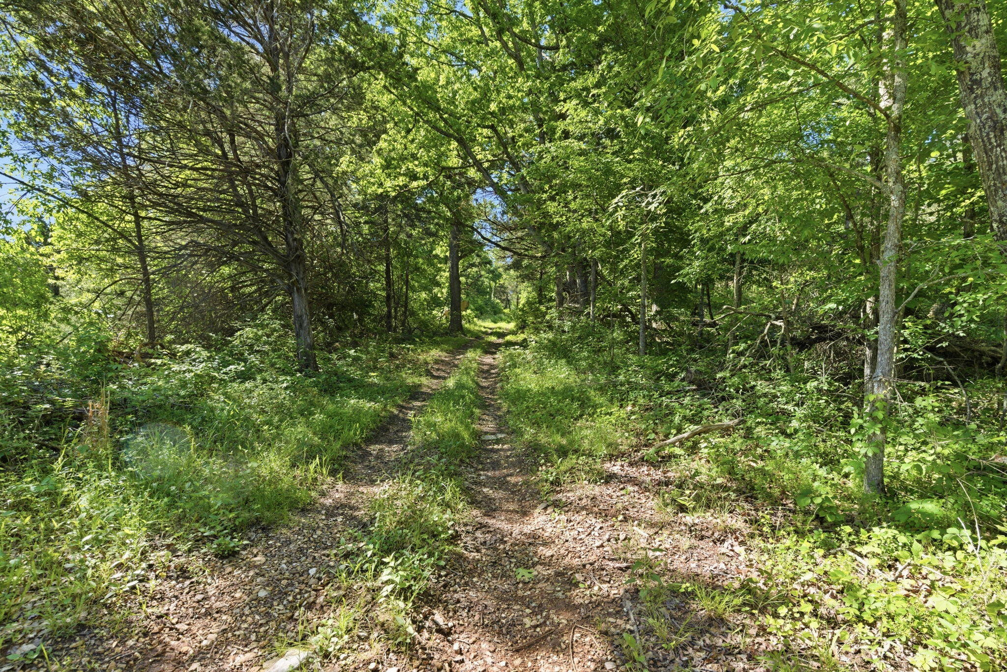 4706 Flat Creek Road Property Photo 32