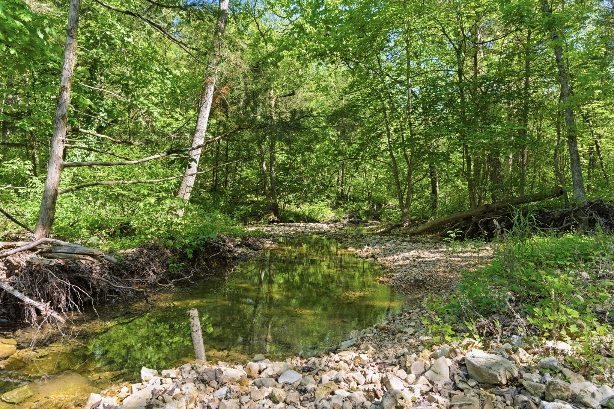 4706 Flat Creek Road Property Photo 37