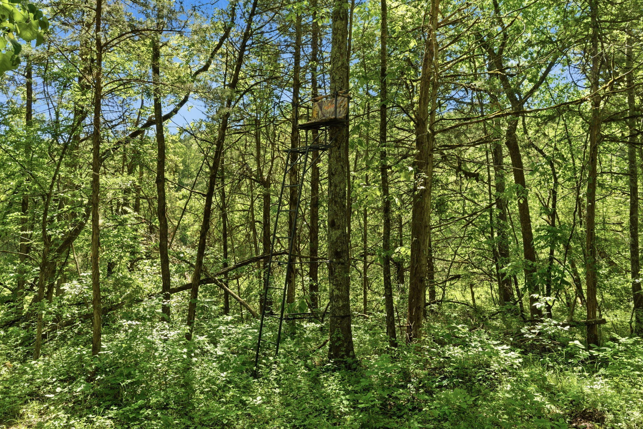 4706 Flat Creek Road Property Photo 38