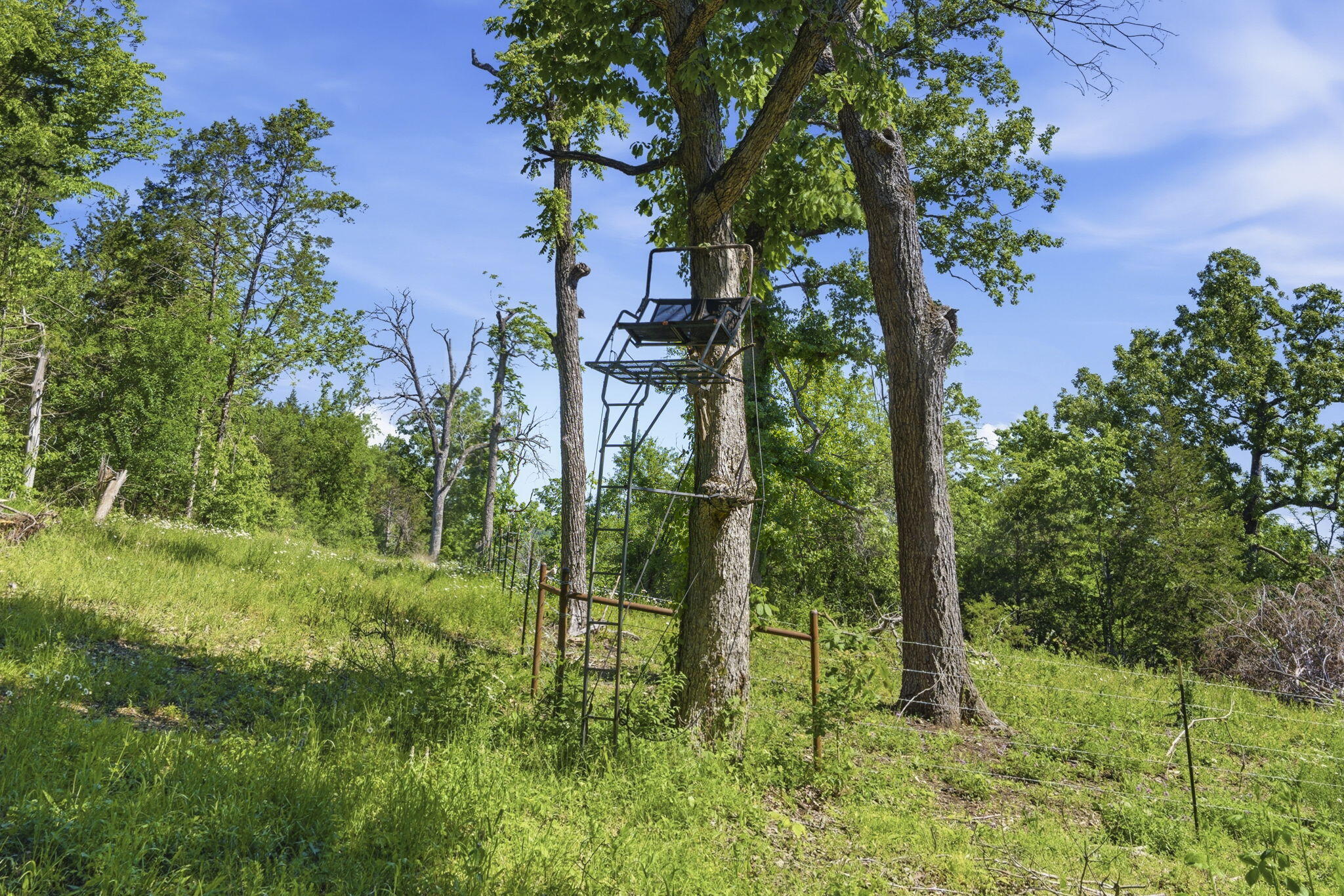 4706 Flat Creek Road Property Photo 39