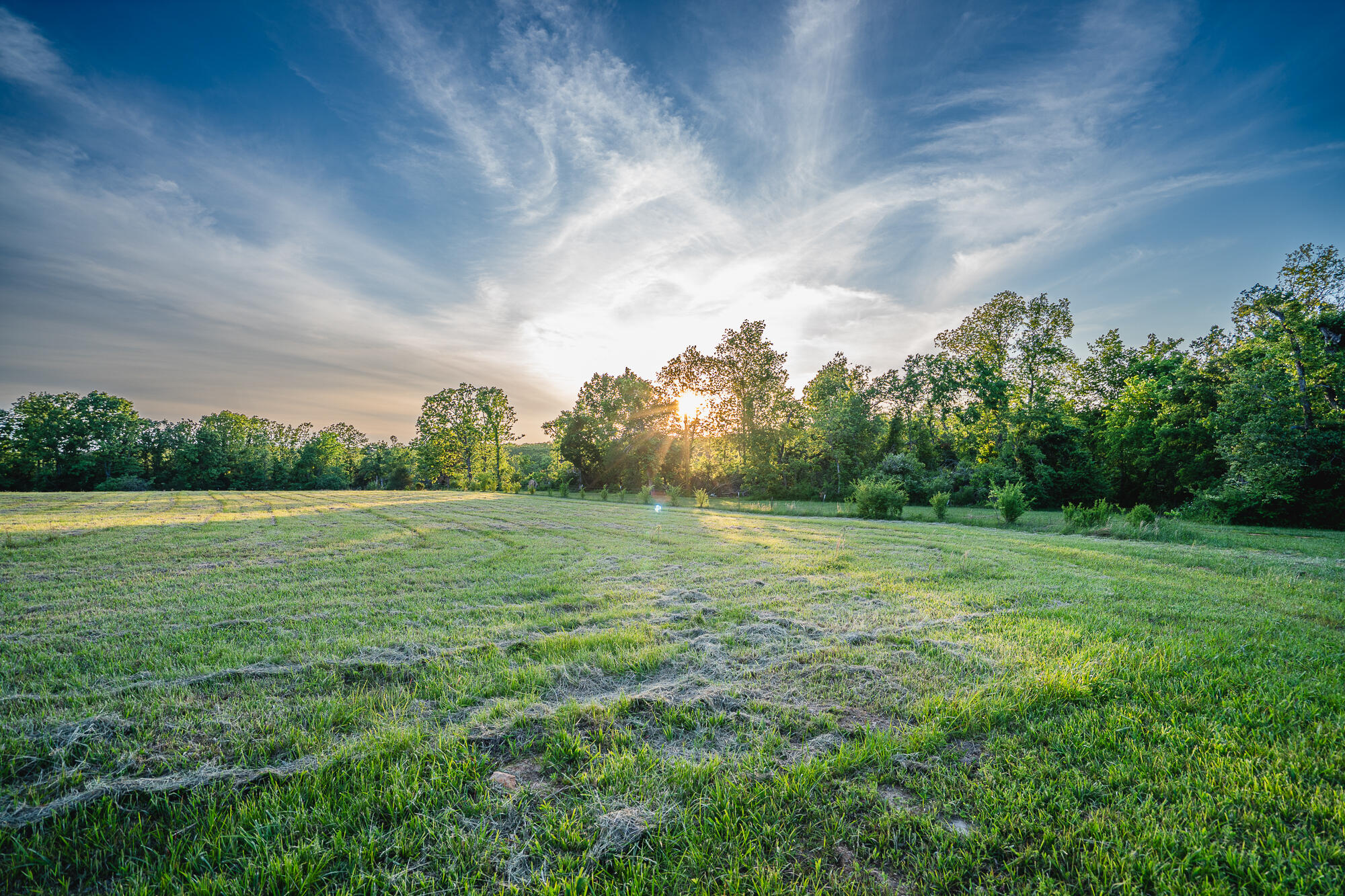 11305 State Route Jj Property Photo 12
