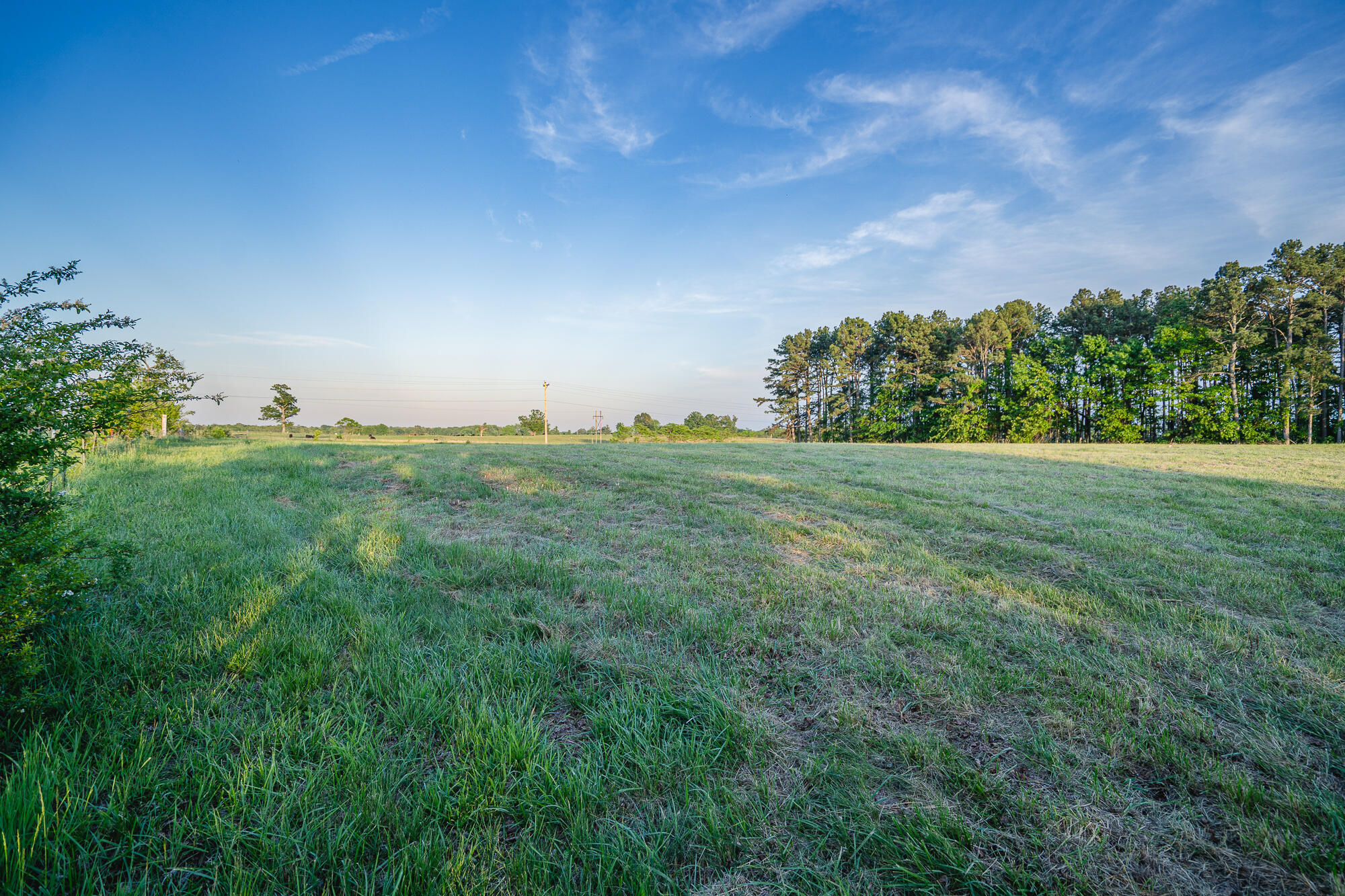 11305 State Route Jj Property Photo 13