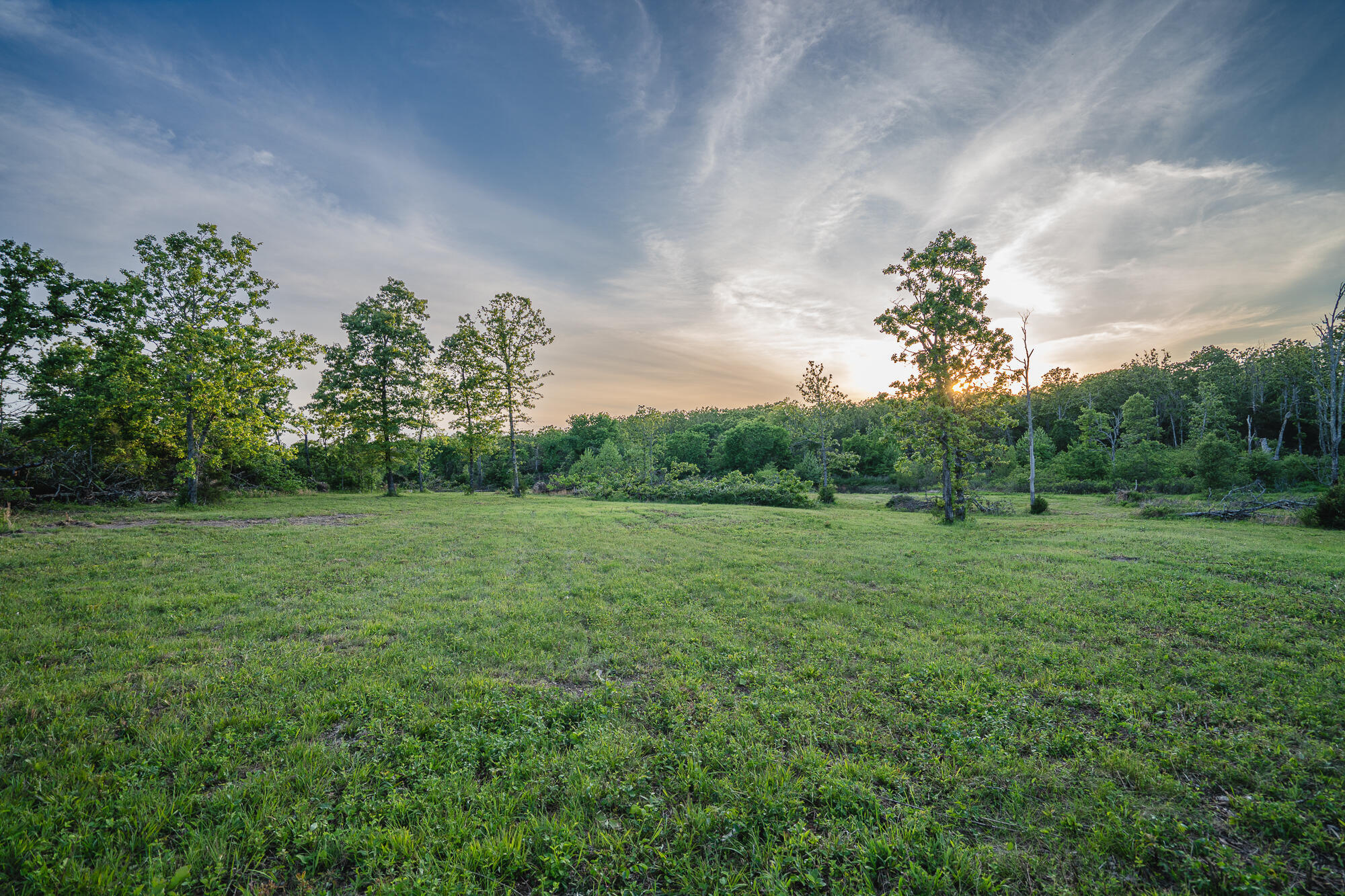 11305 State Route Jj Property Photo 16