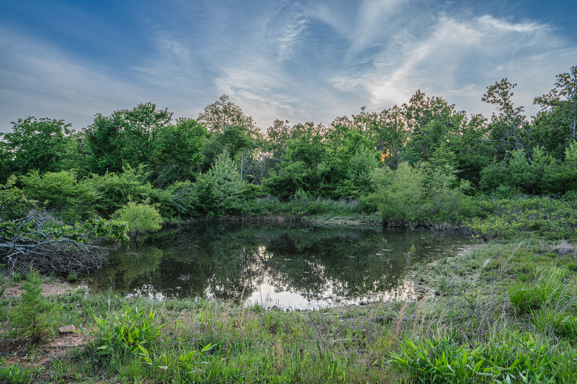 11305 State Route Jj Property Photo 17