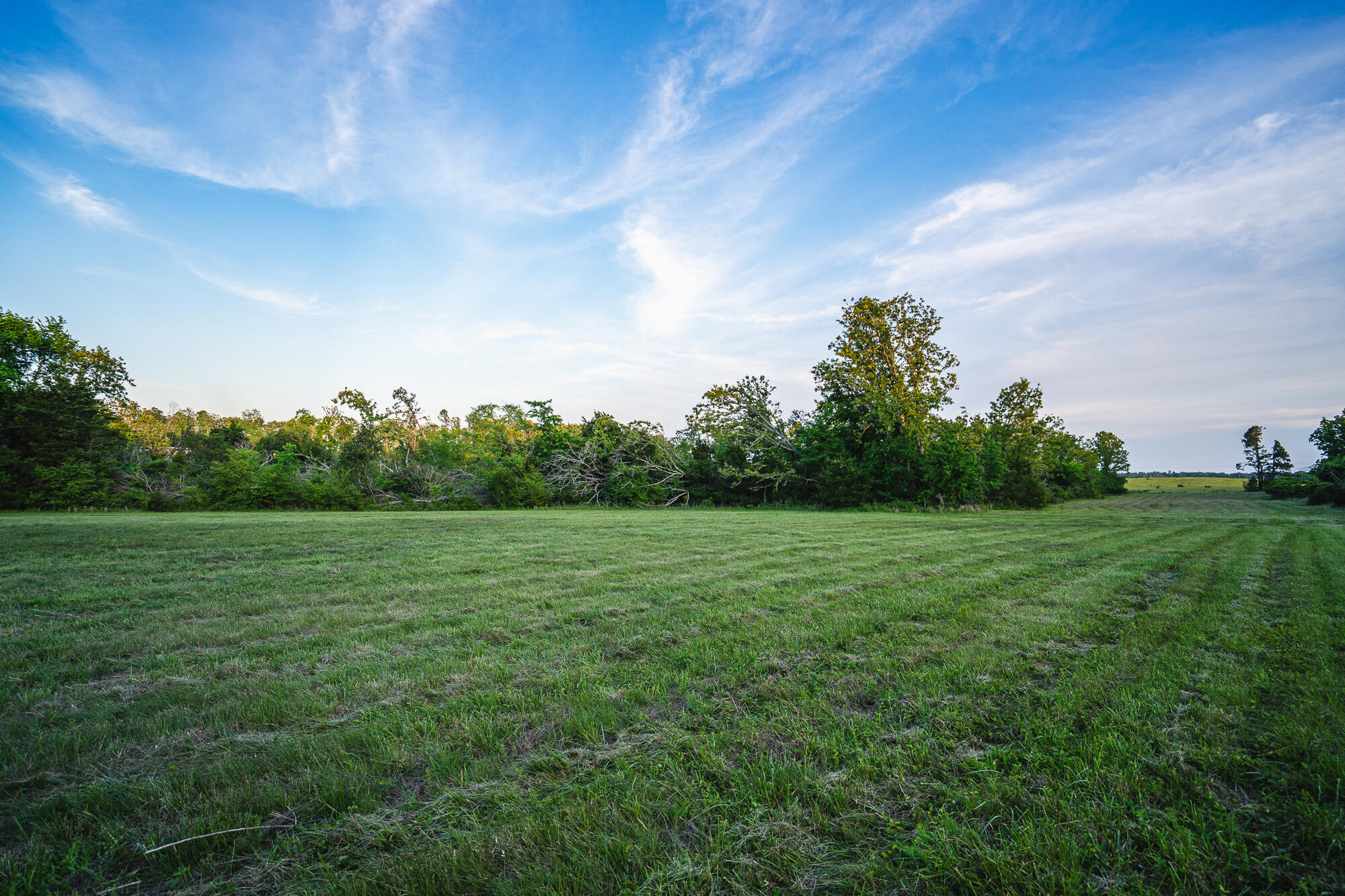 11305 State Route Jj Property Photo 20