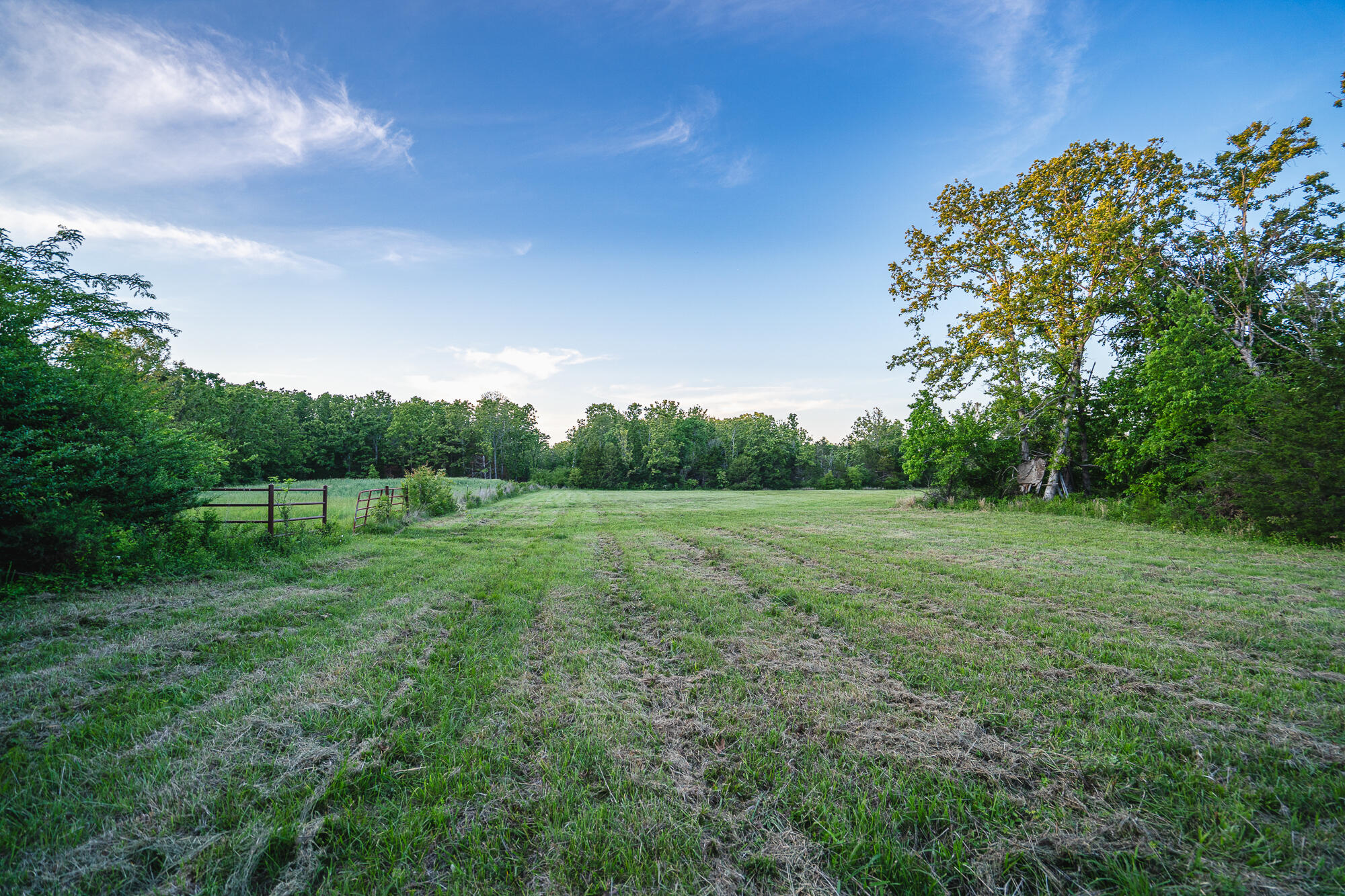 11305 State Route Jj Property Photo 21