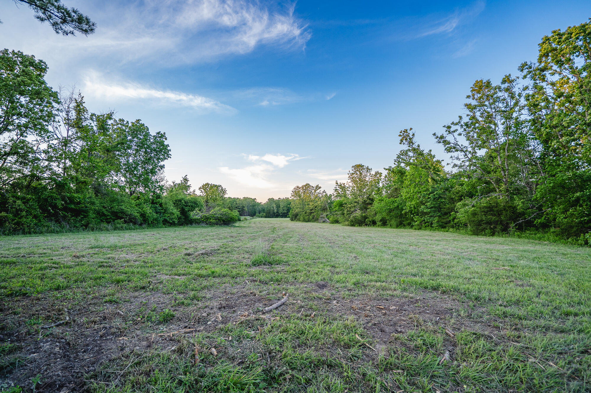 11305 State Route Jj Property Photo 23