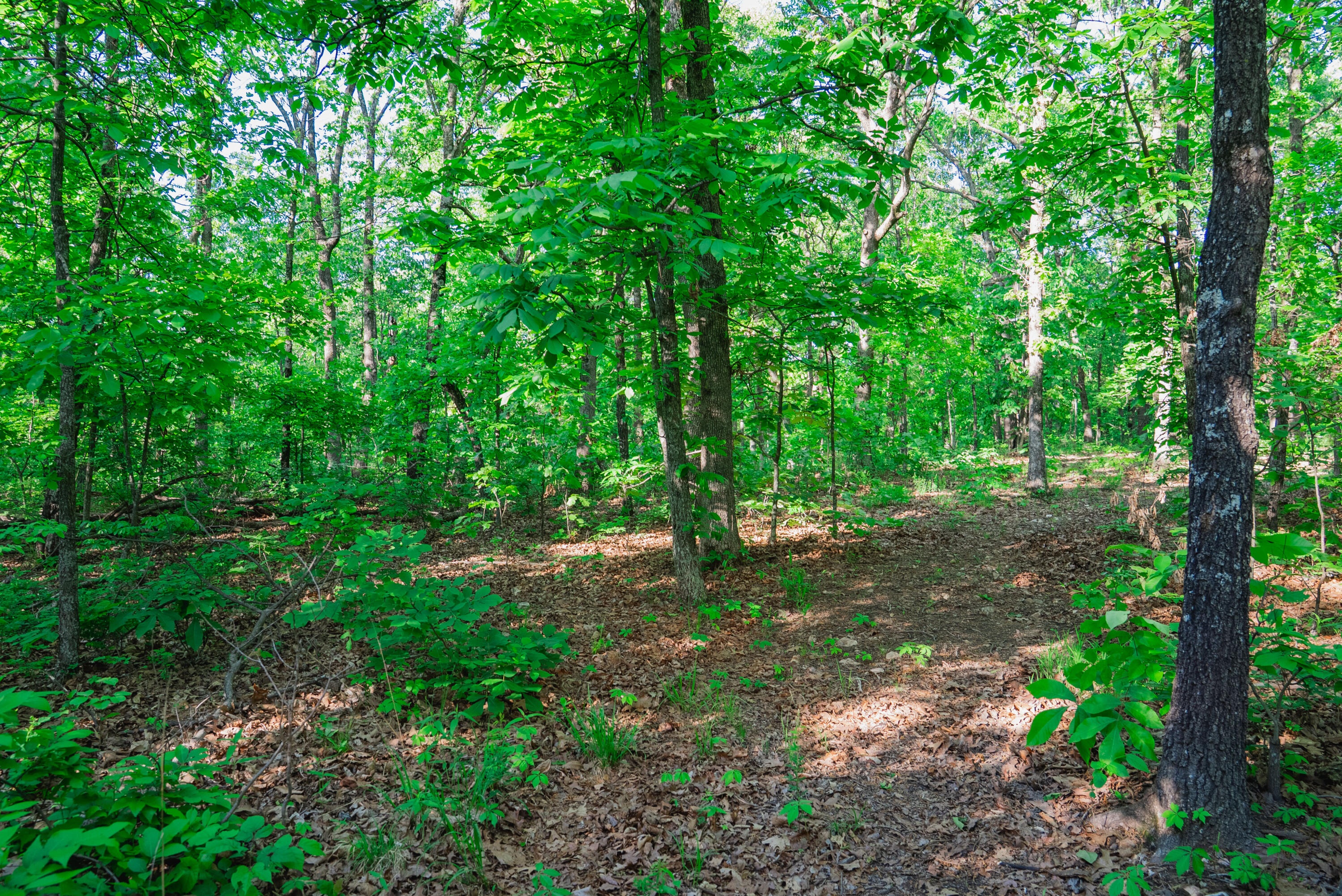 001 South 52nd Road Property Photo 7
