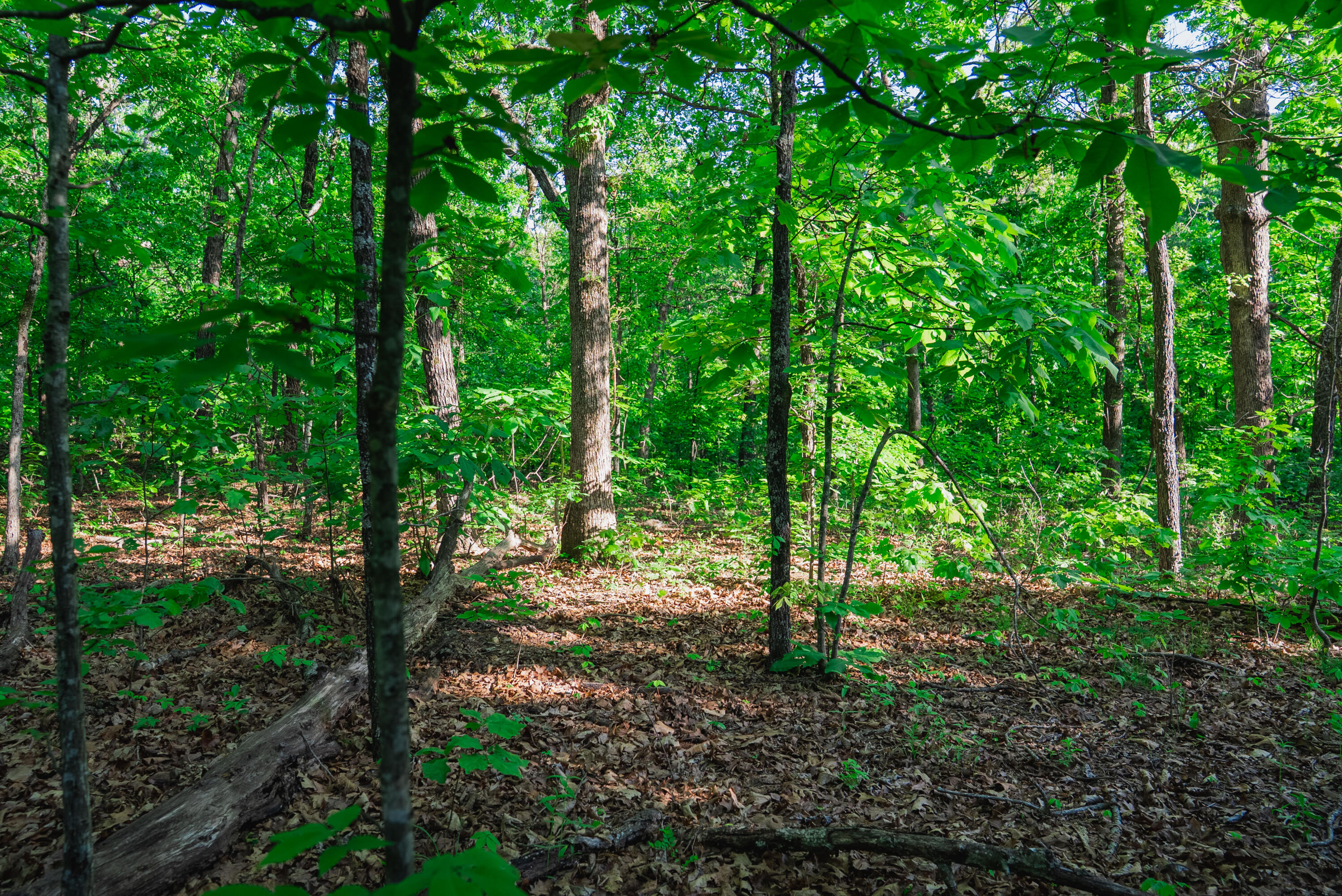 001 South 52nd Road Property Photo 8