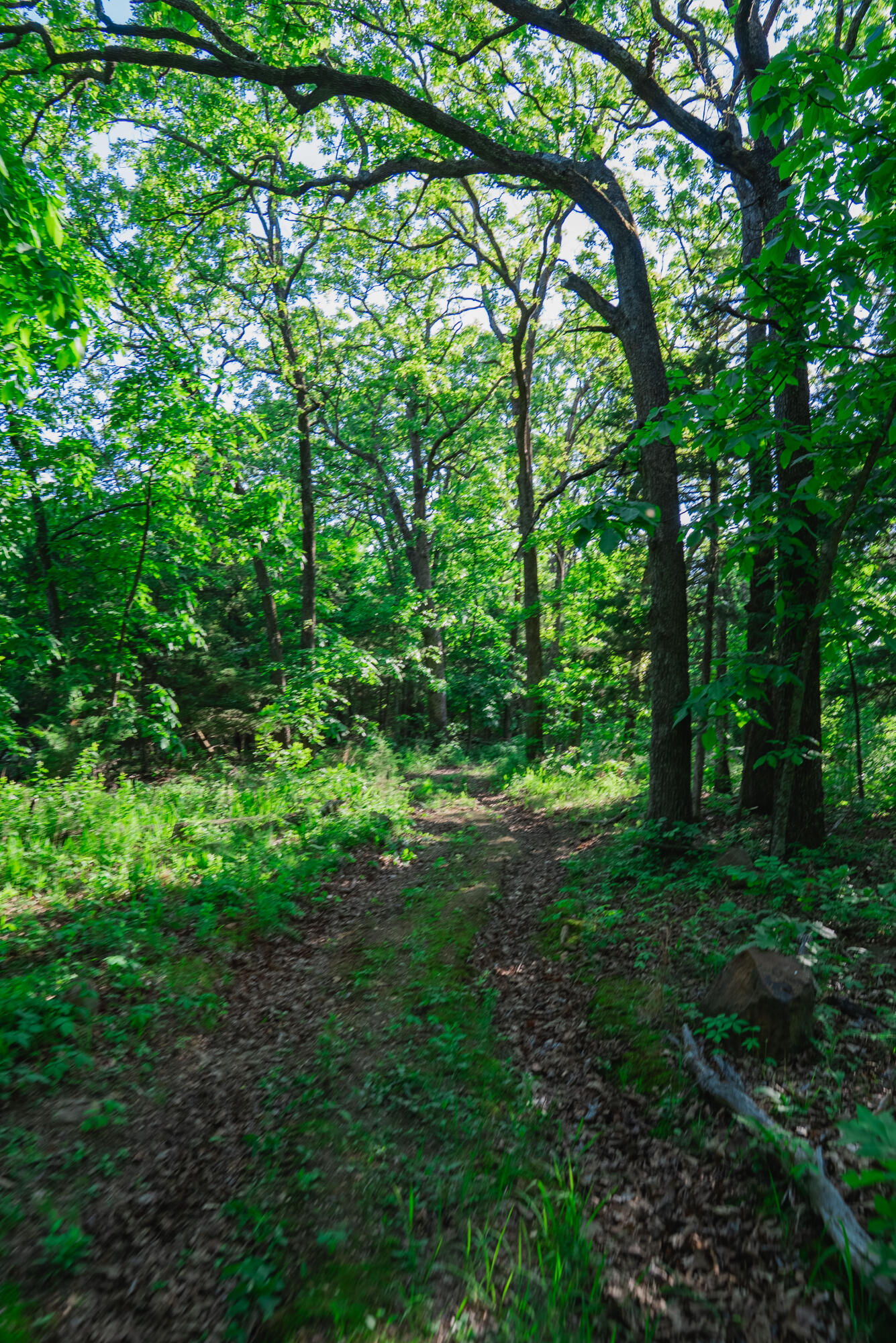 001 South 52nd Road Property Photo 9