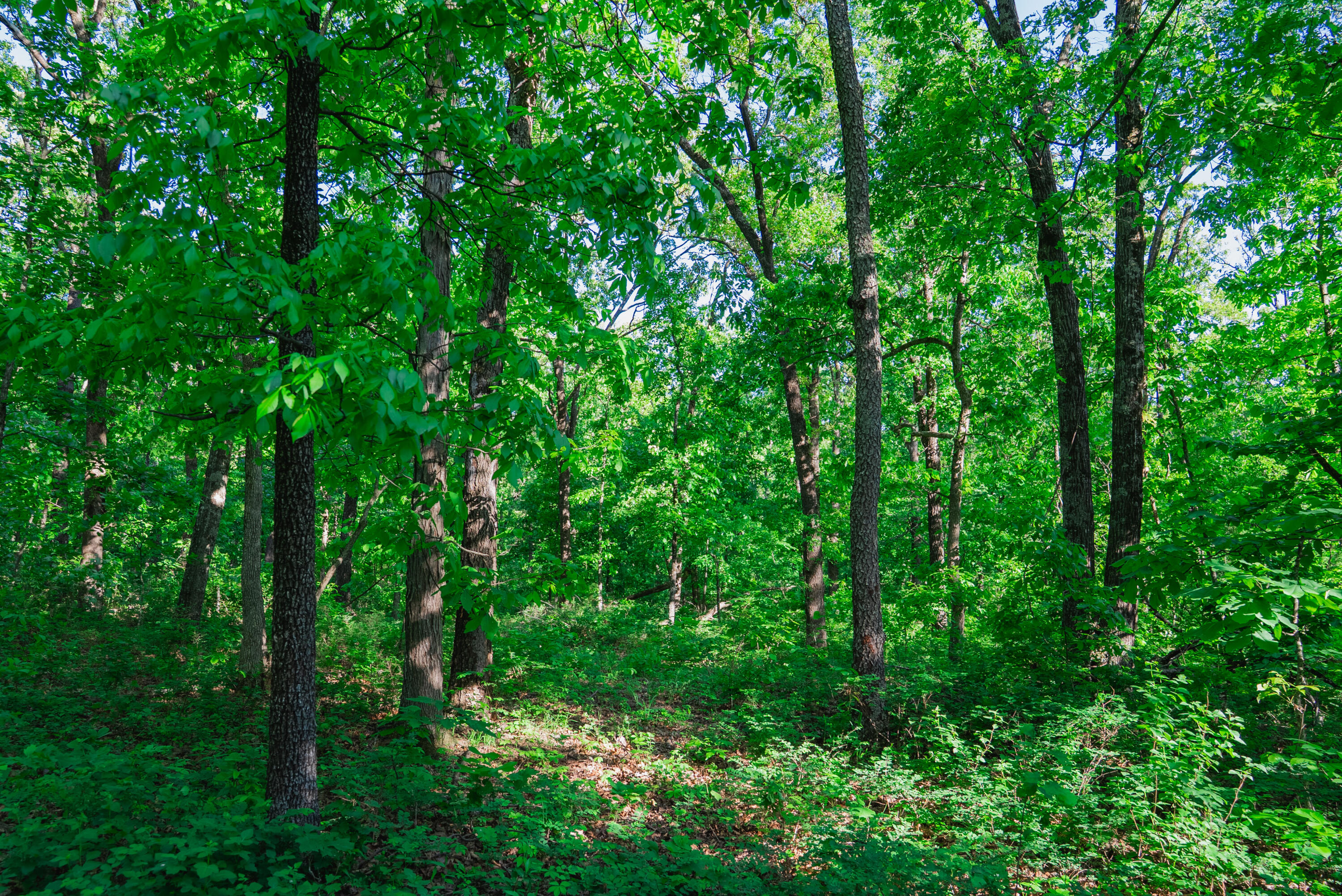 001 South 52nd Road Property Photo 10