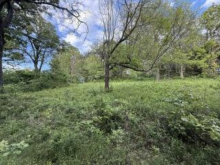 1373 East 470th Road Property Photo 9