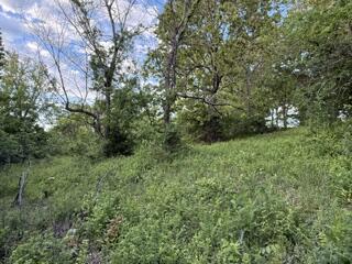 1373 East 470th Road Property Photo 11
