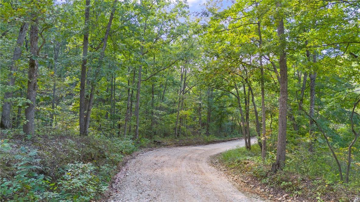 80+/-acres Proctor Lane Property Photo 2