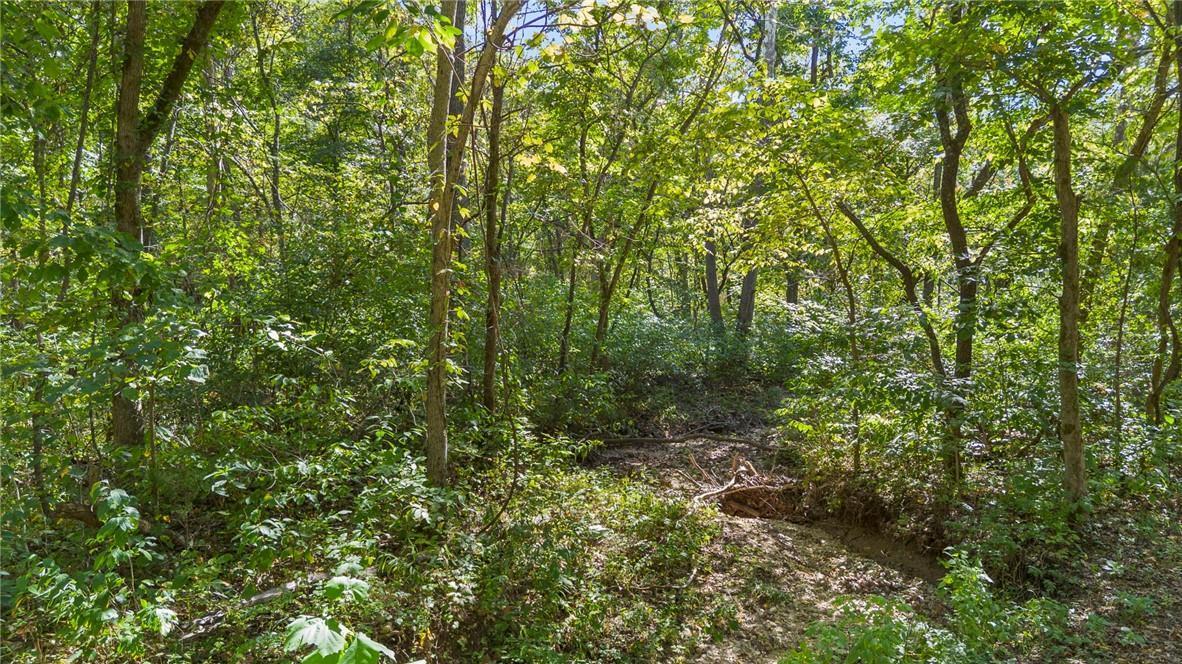 80+/-acres Proctor Lane Property Photo 3
