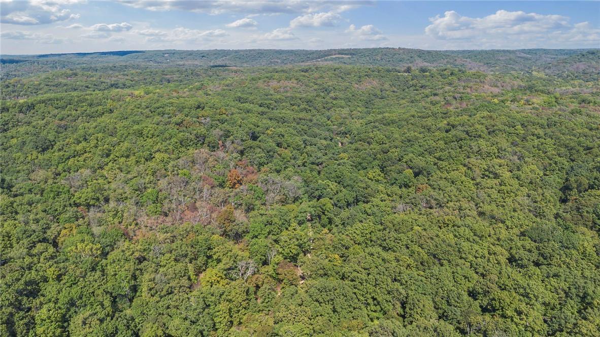 80+/-acres Proctor Lane Property Photo 4