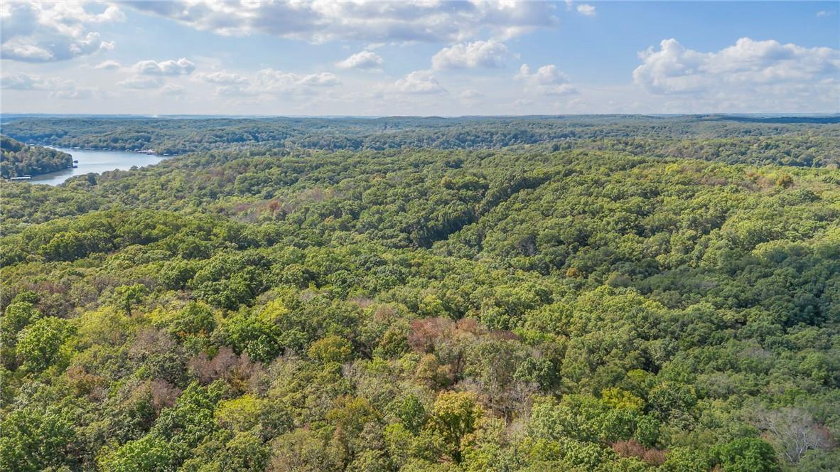 80+/-acres Proctor Lane Property Photo 10