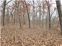 80+/-acres Proctor Lane Property Photo 12
