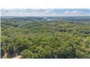 80+/-acres Proctor Lane Property Photo 13