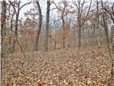 80+/-acres Proctor Lane Property Photo 14