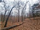 80+/-acres Proctor Lane Property Photo 20
