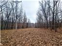 80+/-acres Proctor Lane Property Photo 21