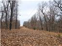 80+/-acres Proctor Lane Property Photo 23