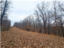 80+/-acres Proctor Lane Property Photo 24