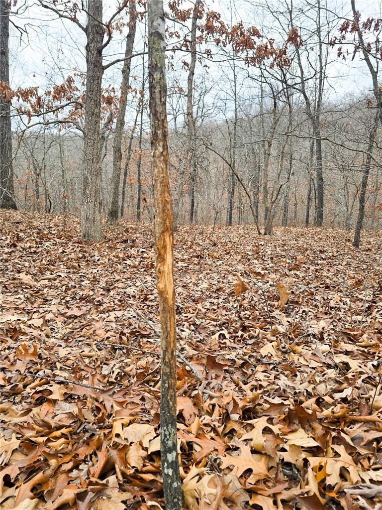 80+/-acres Proctor Lane Property Photo 25