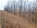 80+/-acres Proctor Lane Property Photo 28