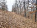 80+/-acres Proctor Lane Property Photo 29