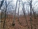 80+/-acres Proctor Lane Property Photo 30