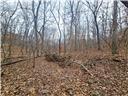80+/-acres Proctor Lane Property Photo 32